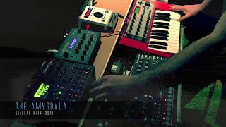 THE AMYGDALA - Stellartrain (2018)