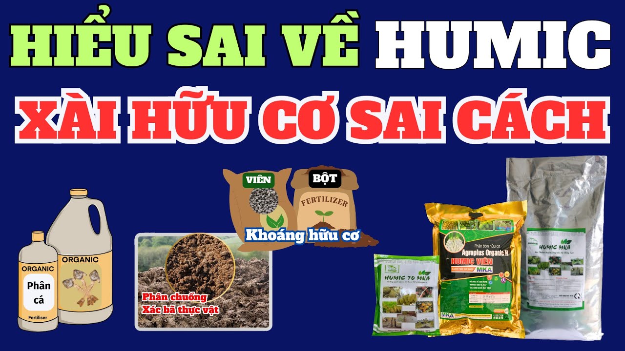 Hiểu sai về humic và xài hữu cơ sai cách | Sử dụng humic, hữu cơ như thế nào hiệu quả?