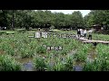 2024-6-17 二重唱/岩崎宏美