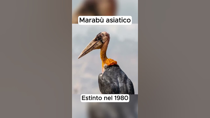 Animali che sono tornati dall’estinzione #shorts