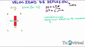 ¿Cuáles son los cuatro factores que afectan a la difusión?