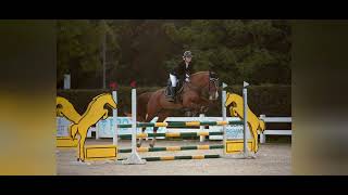 Stajnia, Konie, Pasja, Klub Jezdziecki Equitation Lubkowice Wiktoria Budczenkow