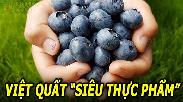 Ăn trái việt quất có tác dụng gì?