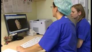 Transplantacija maticnih celija, Prof. Dr. Nadezda Basara, RTS Satelitski program