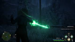 Famous Hogwarts Legacy - Killing a Dark Mongrel Net Worth