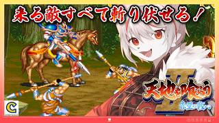 【天地を喰らうII 赤壁の戦い】懐かしのベルトスクロールアクション！⚔⚡ ～脳筋ネコ、戦場を駆けるｯｯ！🐈🔥～ 【女性実況・AC版・完全初見】#1