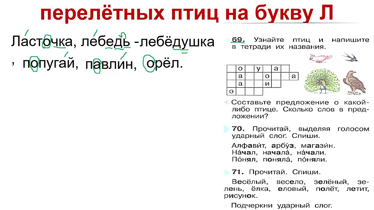 Урок 141 русский язык 2 класс 21 век презентация баранник