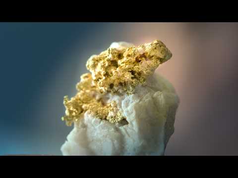 Watch The Gold Shines Brighter with a Story