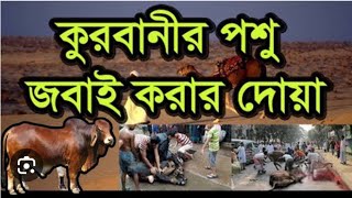 কুরবানী পশু জবাই করার দোয়া। বাংলা অর্থ ও উচ্চারণ সহ। সহীহ বুখারী।বিভিন্ন_দোয়া