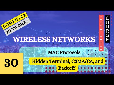 Wireless Networks &