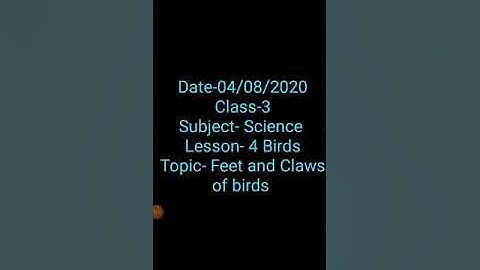 Class 3 || science || Chapter 4 Birds .Different types of feet and claws.Part 4.