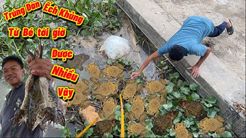Đi Kích Cá - Kích Trúng Đàn Ếch Khủng - ko kịp trở tay ,Fish