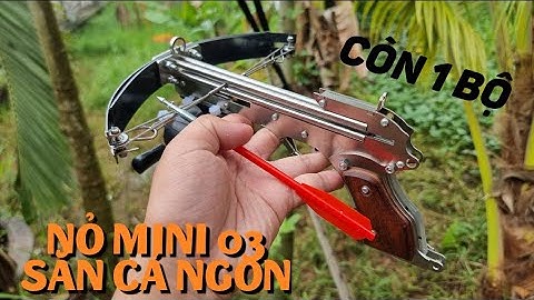 NỎ SĂN MINI 03 XÀI BI SẮT VS MŨI TÊN SIÊU MẠNH