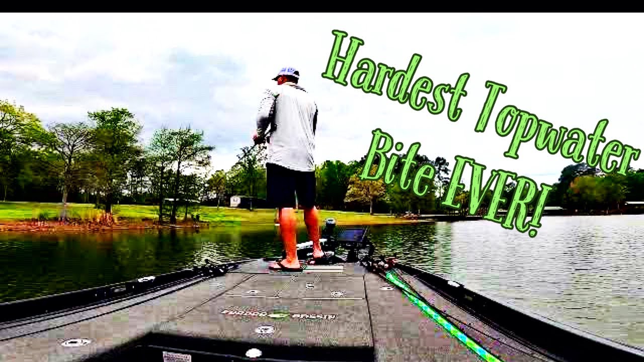 Toledo Bend Spring Bass Fishing (A BIG BASS on TOPWATER)