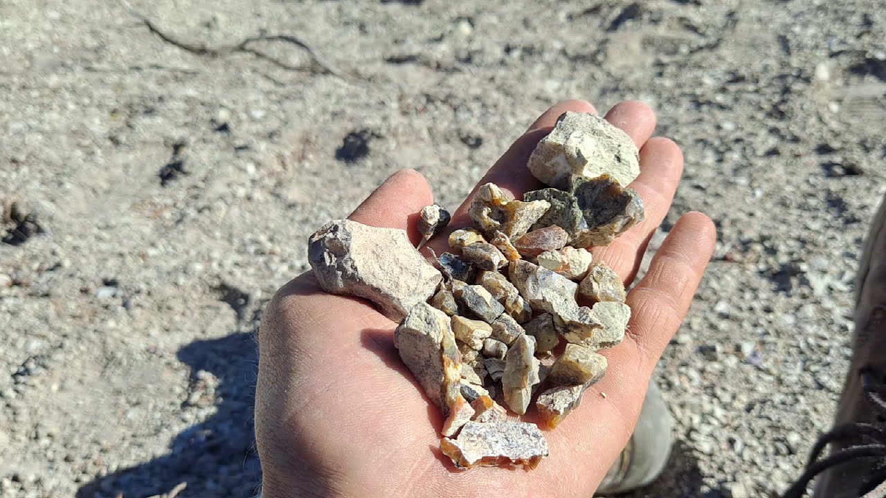Rockhounding In The High Desert Near Reno Nevada/ California State Line