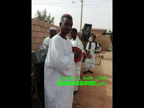 طلحه ود العكداب 