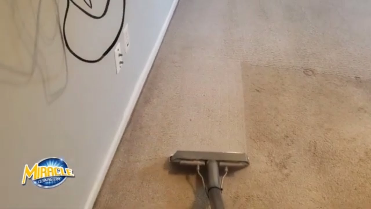 Cleaning Carpet Satisfying Awesome Carpet cleaning Transformation Hot Water Extraction ASMR