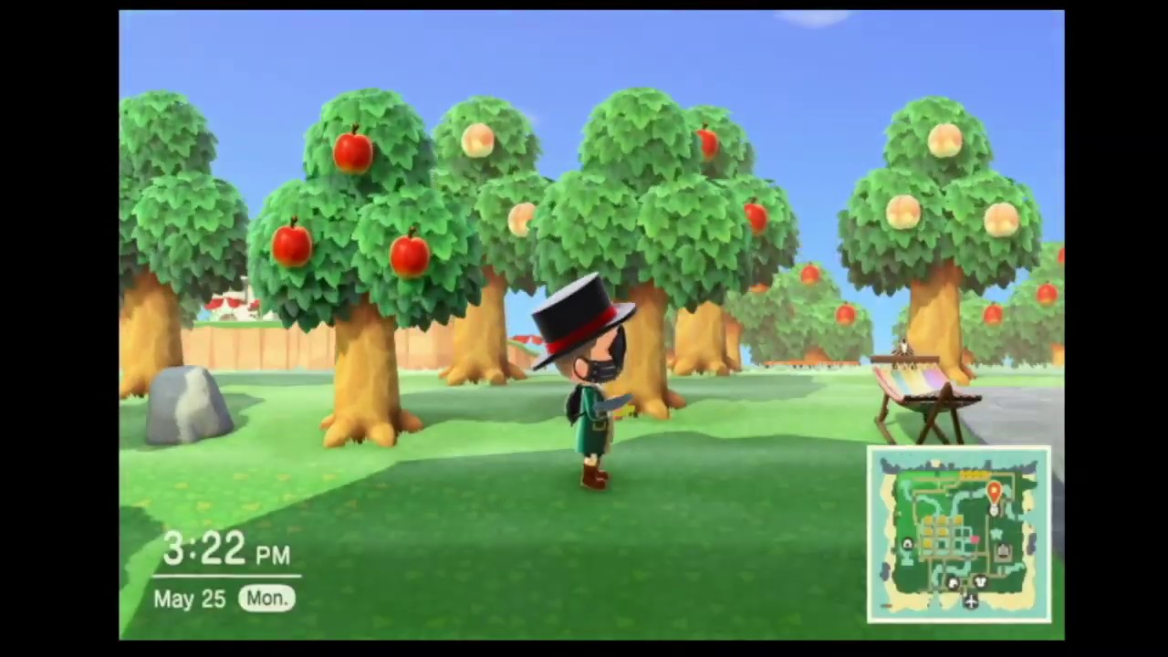 Animal Crossing New Horizons Game Play