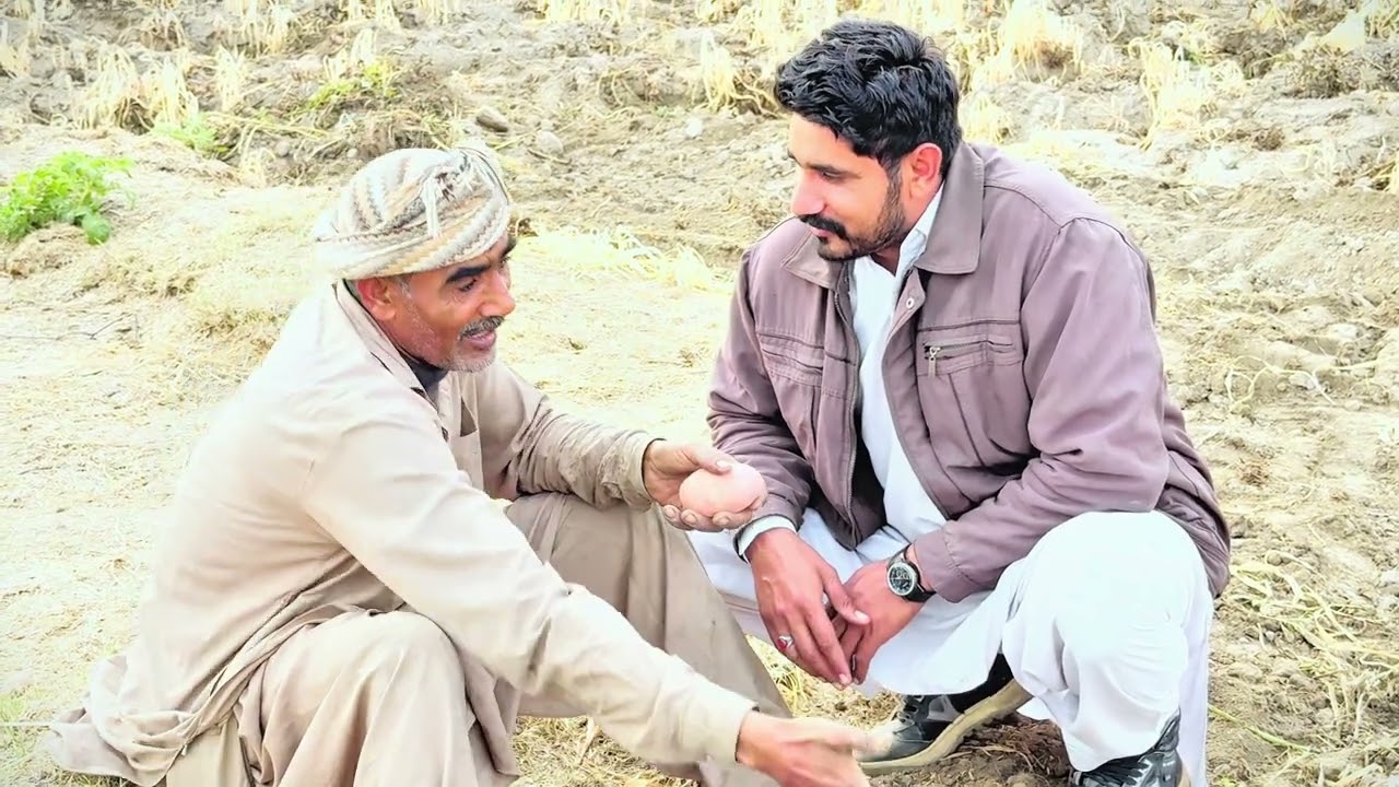 2026 Ke Aloo wale zameendaro k halaat#farming #agriculture  ￼