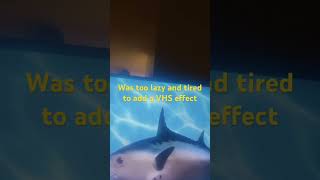 Spongebob Intro Fandub The Republic Of China Chinese40-43