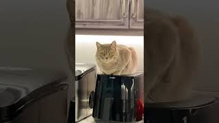 When I Woke Up लल