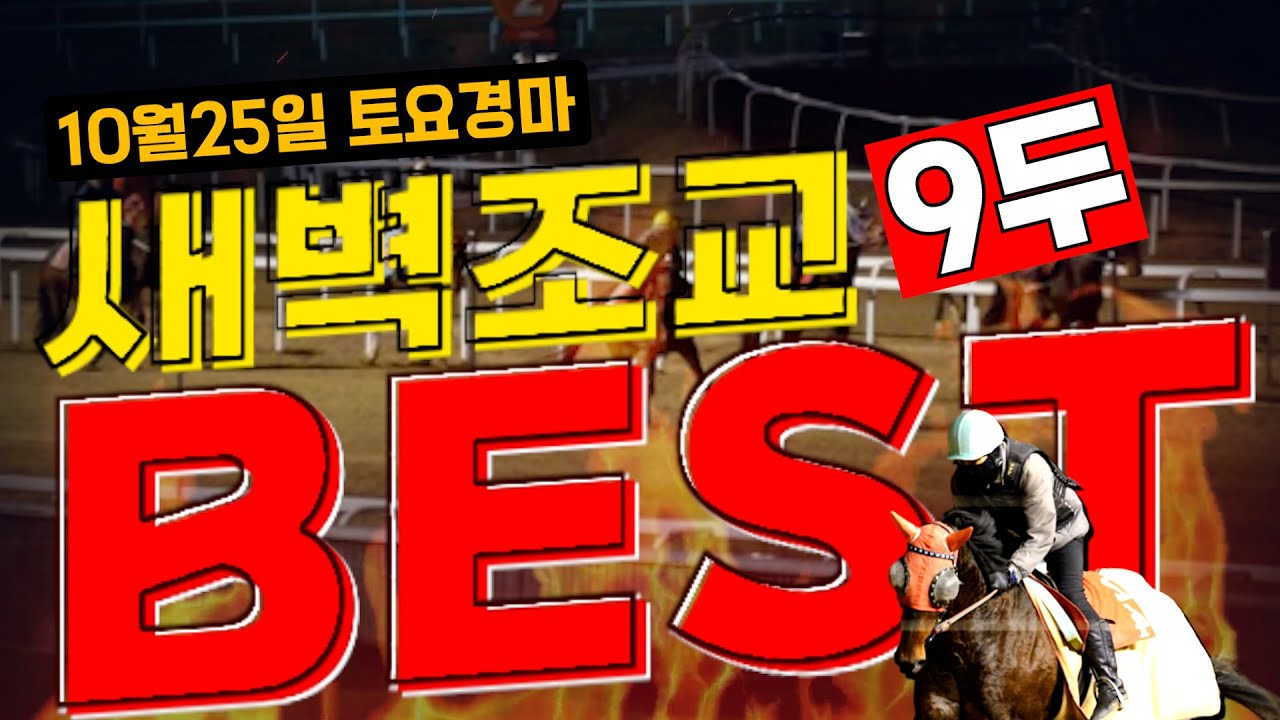 [굽소리경마] 월말경마 대혼전!! 승리로 이끌 훈련우수마는??#새벽조교#과천경마장#조교우수마#굽소리경마