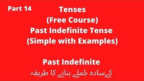 Past Indefinite Tense Simple Sentences with Examples in Urdu/Hindi #14