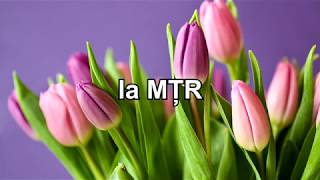 my blog
