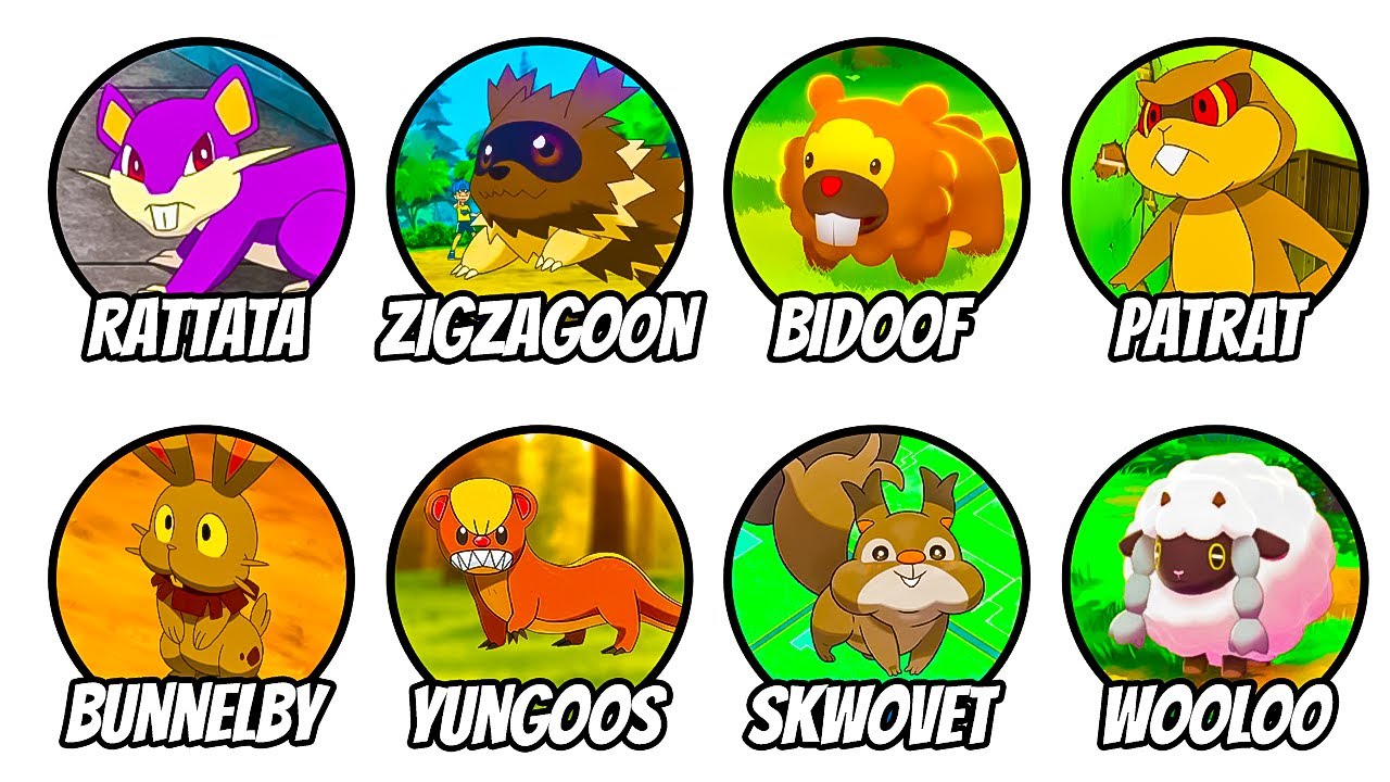 Every Regional Mammal Explained in 17 minutes