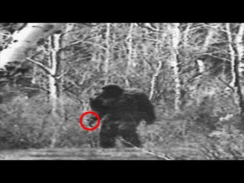 2- Hiker and his Dog meet Bigfoot in Florida 2018 - RBE16
