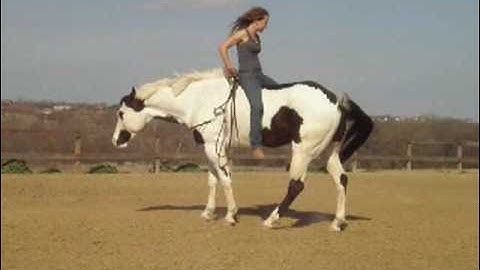 PP Won Lucky Chip    ***For up-to-date info, price, etc., go to our website***