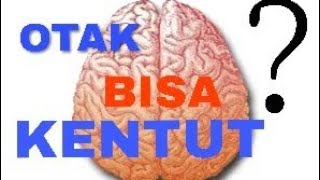 WAJIB TONTON Fakta Menarik Tentang Otak Manusia