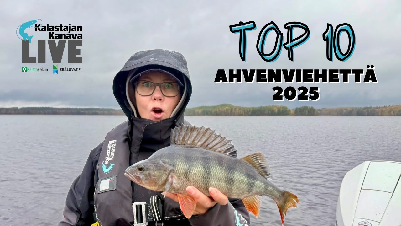 Top-10 ahvenviehettä 2025