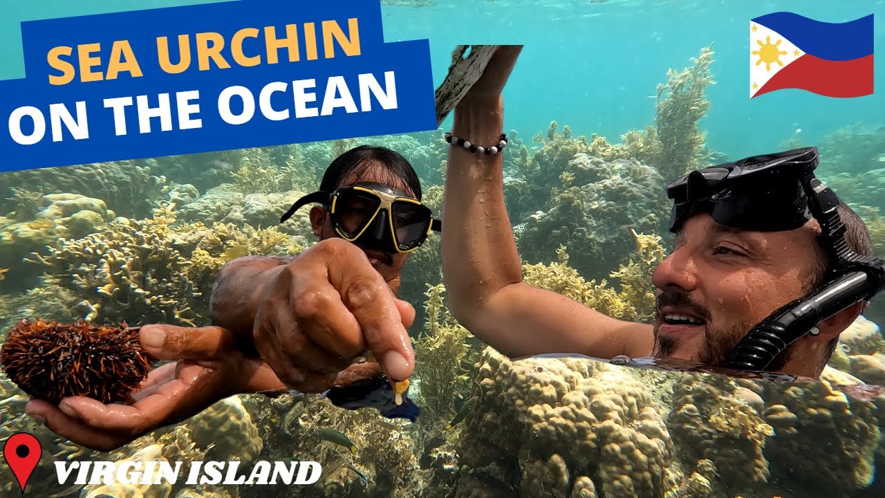 Islander Eating Fish ISLAND HOPPING AND EATING SEA URCHIN 4K on the ocean, Virgin Island 🇵🇭 ...