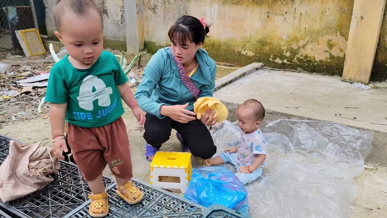 FULL VIDEO 60 DAYS: Single girl far from her child abandoned (Harvesting, Fruit) to sell