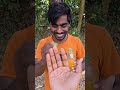 🍎🍓🍅ASMR AMERICA'S ORIGINAL DUBBLE BUBBLE GUM (3 FRUIT FLAVORS) AND... part 3