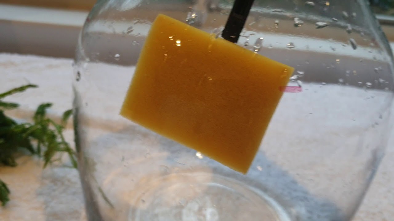 How to clean your betta fish bowl YouTube