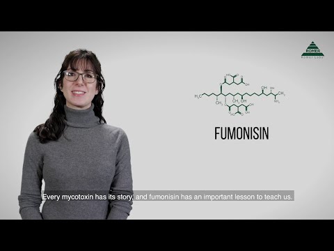 Mycotoxin Minute 70 - Fumonisin in Corn in Southeast Asia