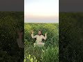 مناظر من الربيع بالقصيم1440