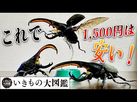 8月いっぱいまで値下げ　オンライン版　いきもの大図鑑アドバンス　ヘラクレス5種類 8月いっぱいまで値下げ オンライン版 いきもの大図鑑アドバンス
