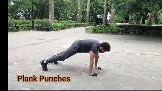 Instructional Video on how to perform Plank Punches - (Vocal Instruction)
