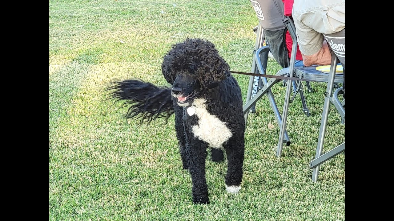 FMCA 4 Wheelers Logandale, NV 2022