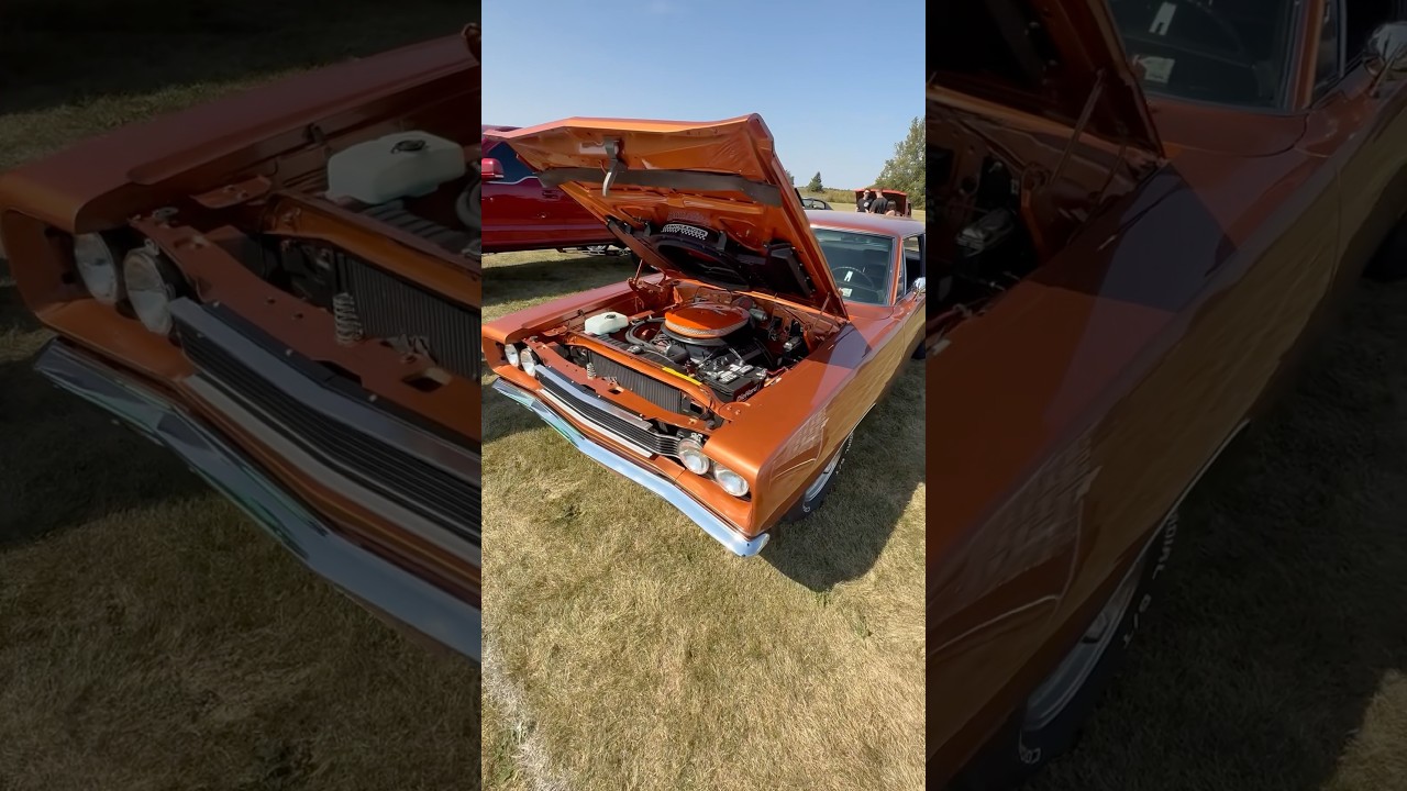 Dodge Super Bee 1969 года