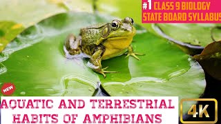 Aquatic and Terrestrial Habits of Amphibians