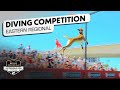 Incredible Dog Challenge Dog Diving Eastern Regional NBC Sports 