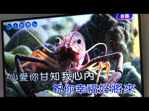 438心甘情願6180