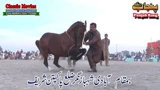 Horse Dance Jashne Bodla Bahar Day 2nd 2017 Abadi Shahbaz Nagar Pakpattan 26