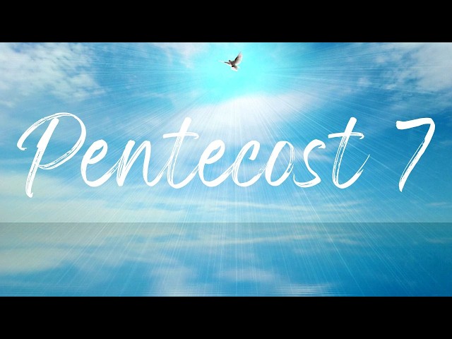 Pentecost 7 A God's Eye View of the Bible 12 July 2026