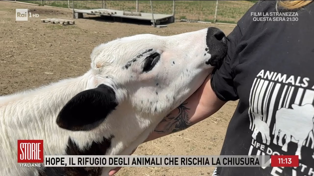 Rifugio per animali rischia la chiusura - Storie italiane 01/05/2024