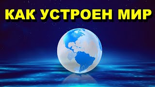 Изучаем мир: "Мой первый школьный проект. Как устроен мир животных" - YouTube